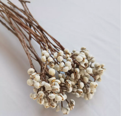 white color  dried flower home decor materials