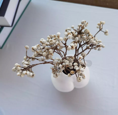 white color  dried flower home decor materials