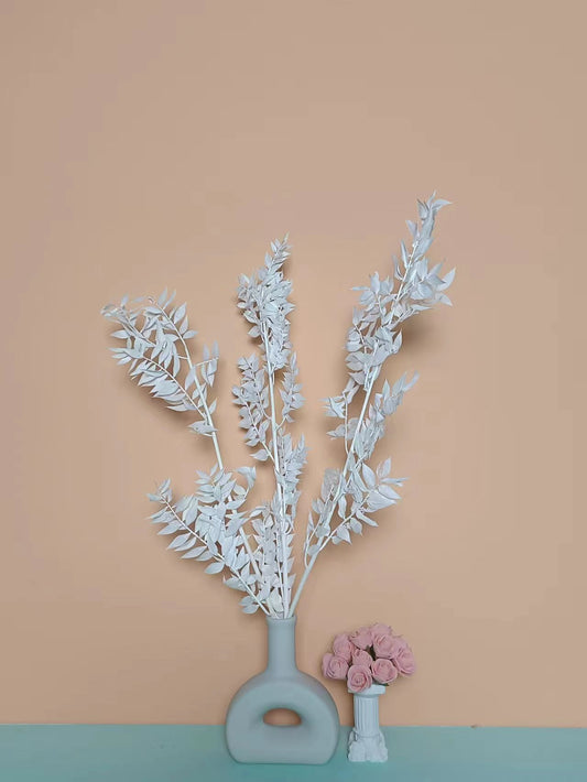 50g Dried Natural Ruscus Leaves Wedding Arrangement Decoration Natural Flowers Dry White Grass Bouquet Home Living Room  Decor. -PAMPAS grass wholesale and dried flowers wholesale near me