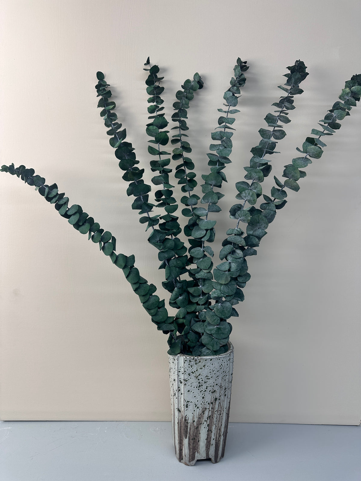 Our Factory Wholesale Eucalyptus Leaf Natural H ome Party Wedding Decorations Dried Flowers Eucalyptus Leaves Leaf -PAMPAS grass wholesale and dried flowers wholesale near me