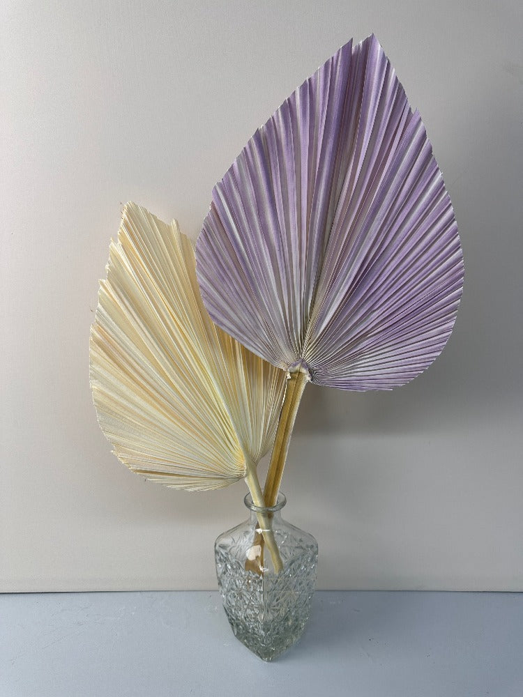 Pampas Dried Palm Fronds | Tropical Wedding Decor | Boho Wedding Arch | Safari Neutral Baby Shower | Palm Fans -PAMPAS grass wholesale and dried flowers wholesale near me