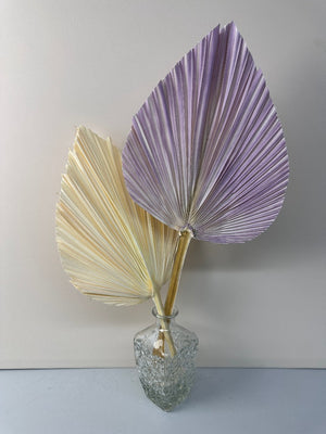 Pampas Dried Palm Fronds | Tropical Wedding Decor | Boho Wedding Arch | Safari Neutral Baby Shower | Palm Fans -PAMPAS grass wholesale and dried flowers wholesale near me