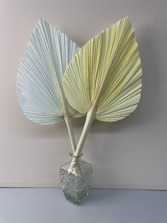 Pampas Dried Palm Fronds | Tropical Wedding Decor | Boho Wedding Arch | Safari Neutral Baby Shower | Palm Fans -PAMPAS grass wholesale and dried flowers wholesale near me