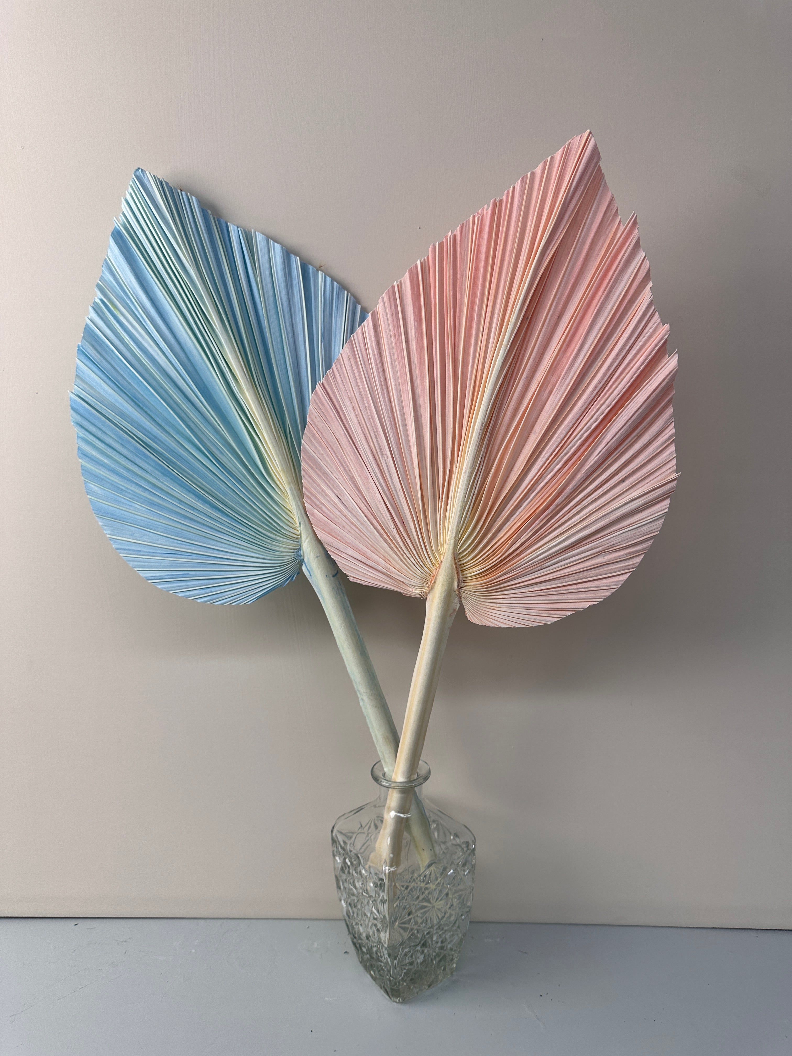 Pampas Dried Palm Fronds | Tropical Wedding Decor | Boho Wedding Arch | Safari Neutral Baby Shower | Palm Fans -PAMPAS grass wholesale and dried flowers wholesale near me