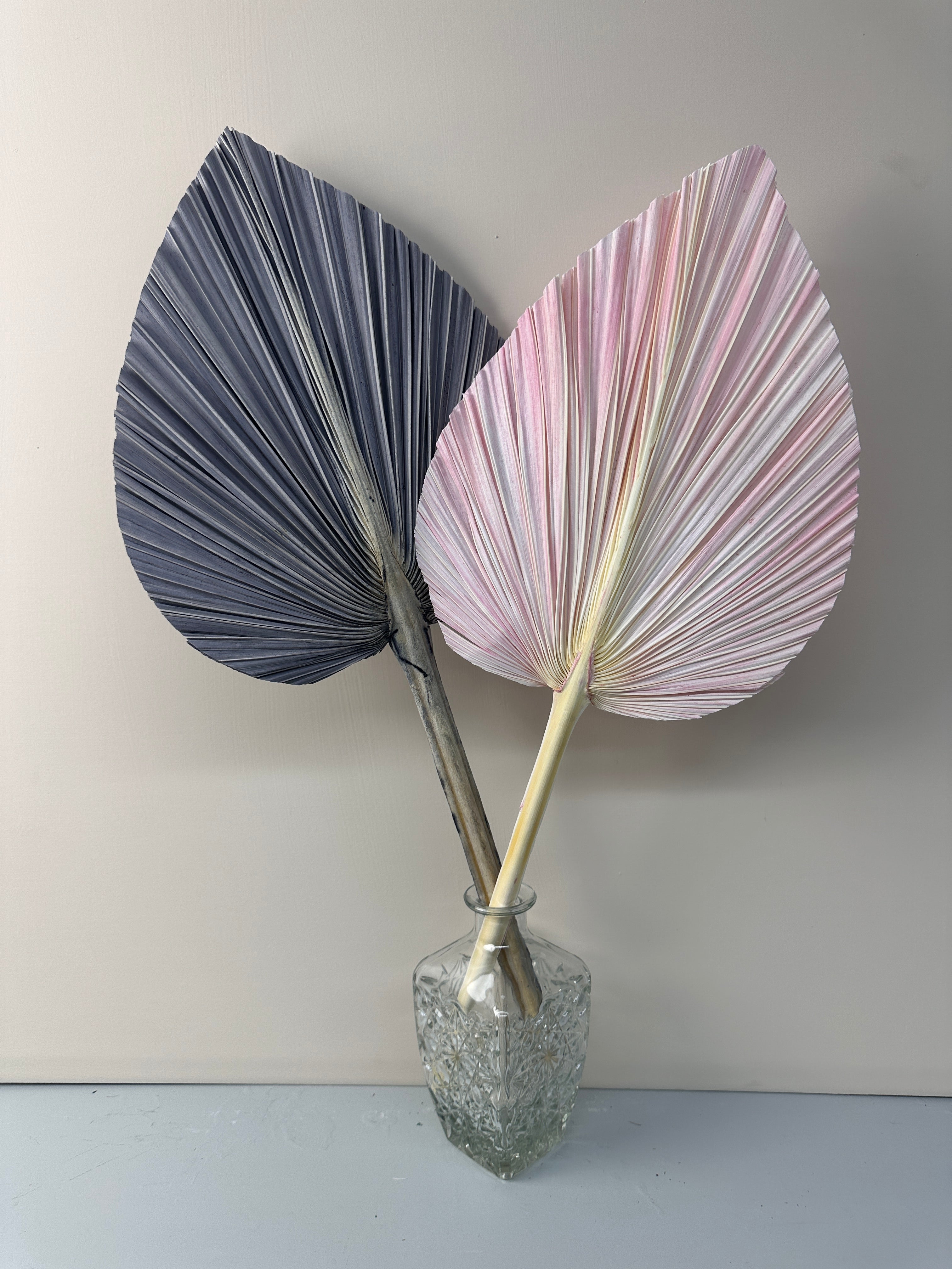 Pampas Dried Palm Fronds | Tropical Wedding Decor | Boho Wedding Arch | Safari Neutral Baby Shower | Palm Fans -PAMPAS grass wholesale and dried flowers wholesale near me