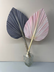 Pampas Dried Palm Fronds | Tropical Wedding Decor | Boho Wedding Arch | Safari Neutral Baby Shower | Palm Fans -PAMPAS grass wholesale and dried flowers wholesale near me