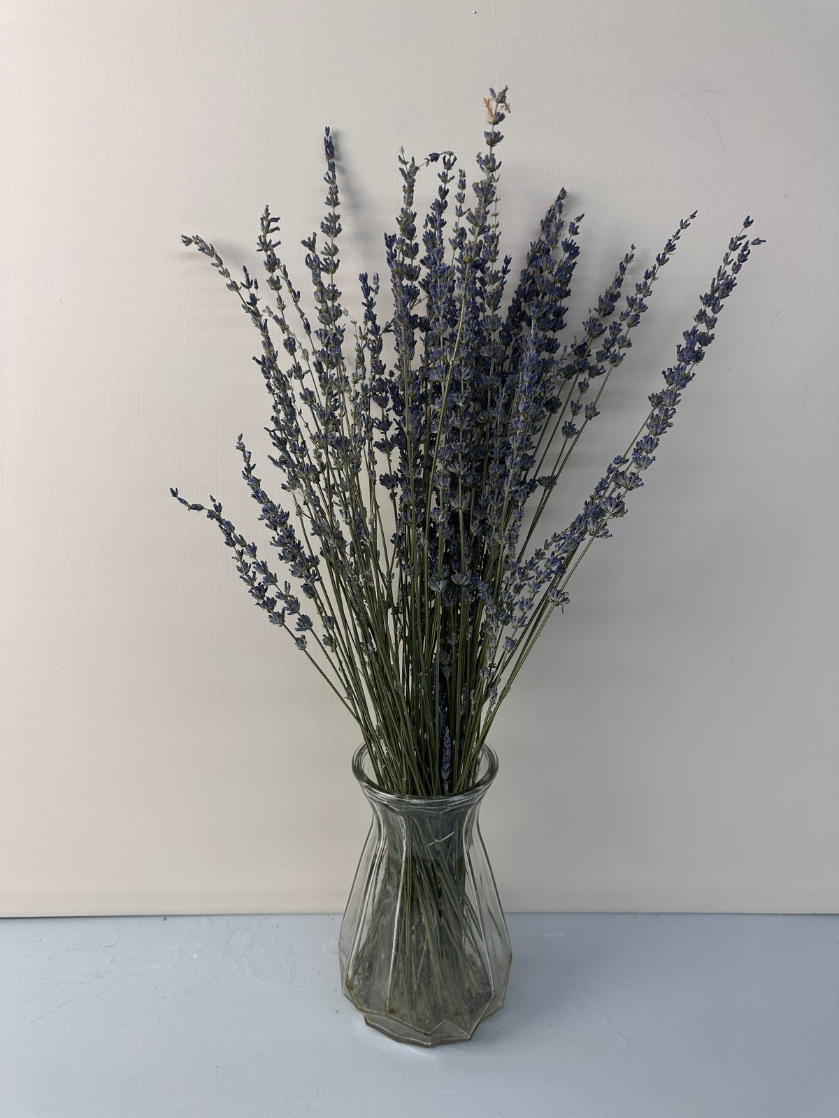 250-300 stems/bundle, lavender, high-quality dried flowers, purple lavender, wedding decoration, home decoration dried flowers -PAMPAS grass wholesale and dried flowers wholesale near me