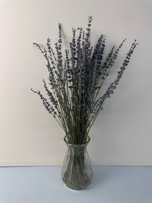 250-300 stems/bundle, lavender, high-quality dried flowers, purple lavender, wedding decoration, home decoration dried flowers -PAMPAS grass wholesale and dried flowers wholesale near me