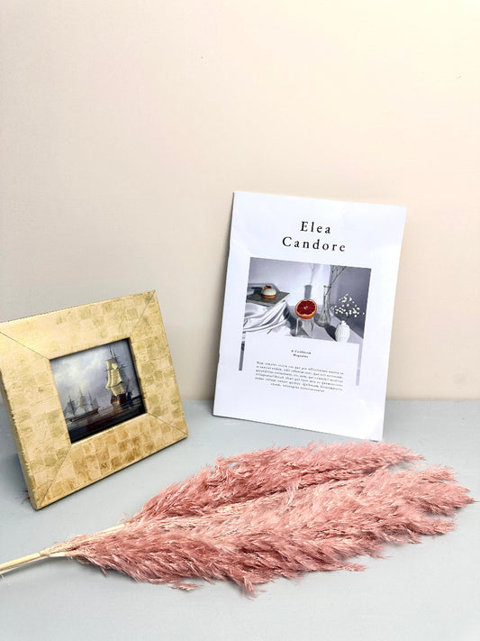 5 STEMS Magenta PAMPAS GRASS - Natural Dried Pampas Grass Decor, Reed Plume, Dry Boho Wedding Flower Arrangement, Tall Bohemian Plant Home Decor -PAMPAS grass wholesale and dried flowers whol