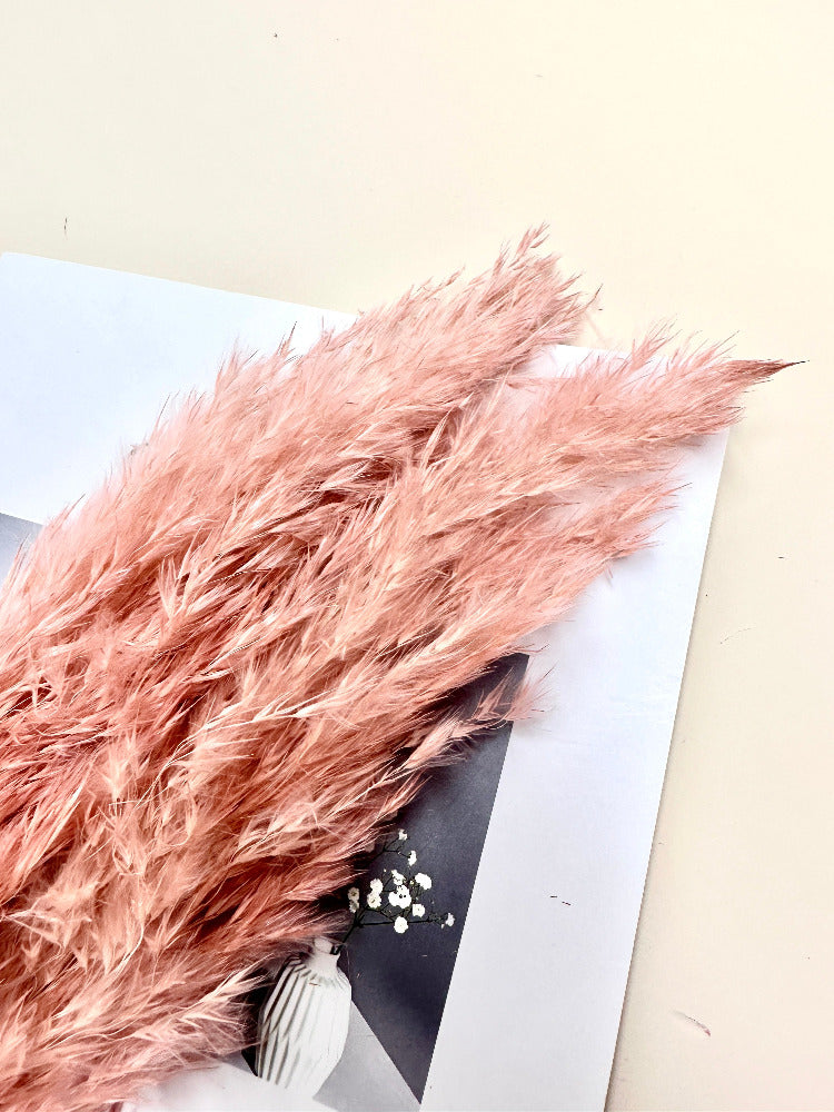 5 STEMS Magenta PAMPAS GRASS - Natural Dried Pampas Grass Decor, Reed Plume, Dry Boho Wedding Flower Arrangement, Tall Bohemian Plant Home Decor -PAMPAS grass wholesale and dried flowers whol