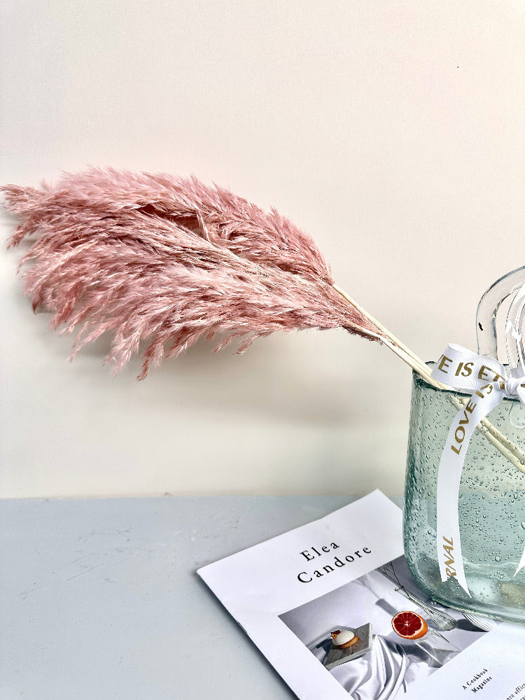 5 STEMS Magenta PAMPAS GRASS - Natural Dried Pampas Grass Decor, Reed Plume, Dry Boho Wedding Flower Arrangement, Tall Bohemian Plant Home Decor -PAMPAS grass wholesale and dried flowers whol