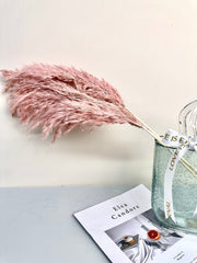 5 STEMS Magenta PAMPAS GRASS - Natural Dried Pampas Grass Decor, Reed Plume, Dry Boho Wedding Flower Arrangement, Tall Bohemian Plant Home Decor -PAMPAS grass wholesale and dried flowers whol