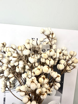 Dried flower of small ginkgo,pampas grass wholesale | dried flowers wholesale,home decoration,Christmas,Wedding Celebration. -PAMPAS grass wholesale and dried flowers wholesale near me