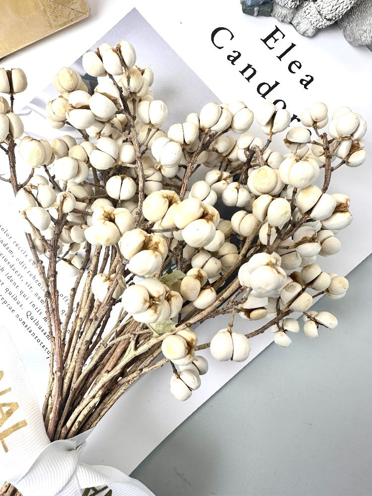 Dried flower of small ginkgo,pampas grass wholesale | dried flowers wholesale,home decoration,Christmas,Wedding Celebration. -PAMPAS grass wholesale and dried flowers wholesale near me