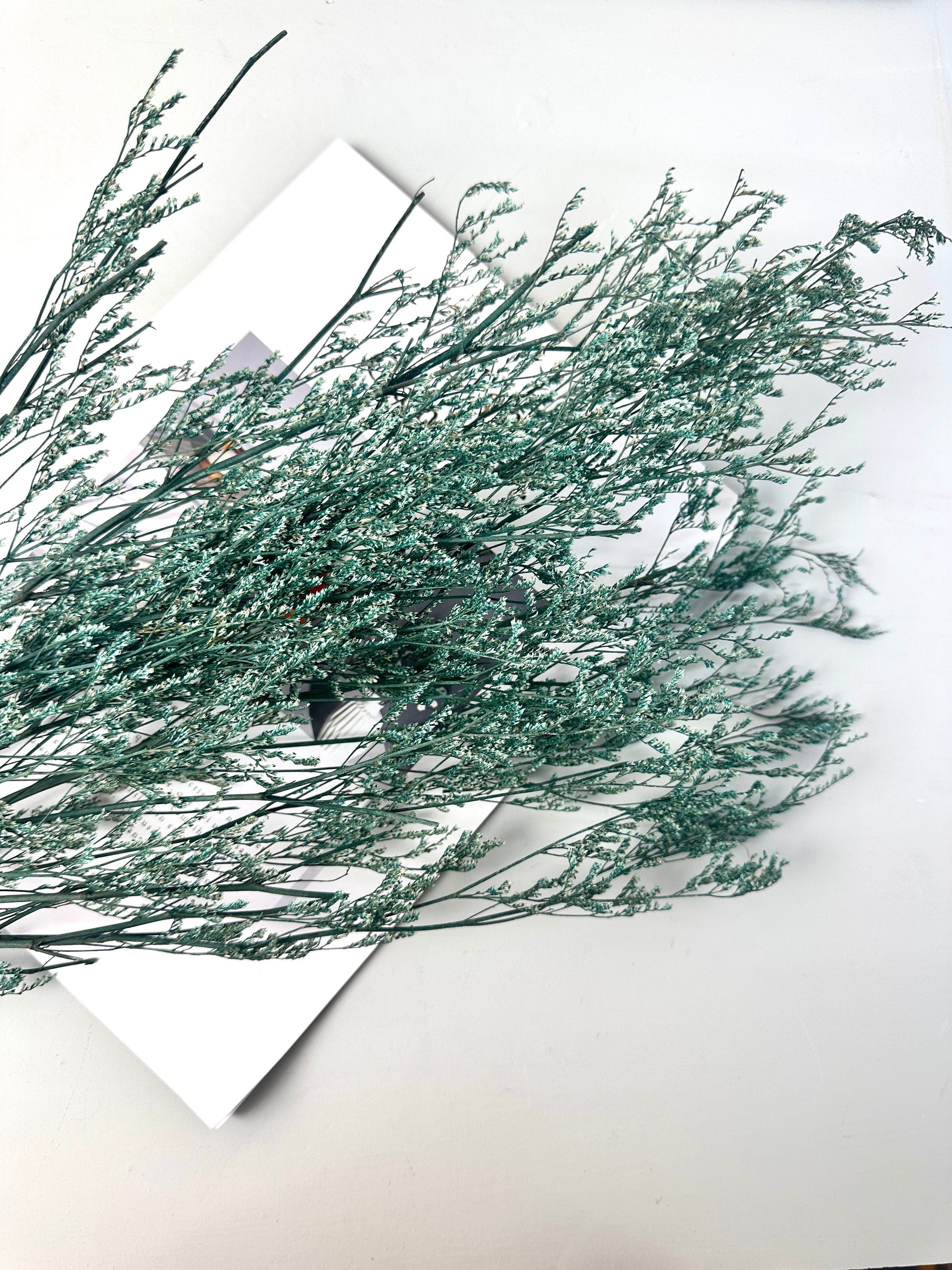 50g Dried Natural Ruscus Leaves Wedding Arrangement Decoration Natural Flowers Dry White Grass Bouquet Home Living Room  Decor -PAMPAS grass wholesale and dried flowers wholesale near me