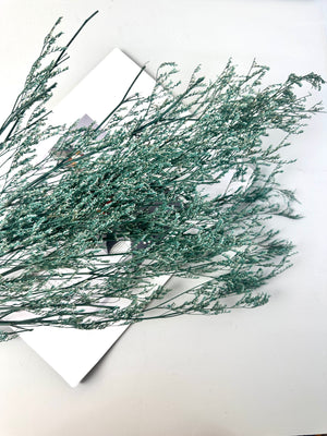 50g Dried Natural Ruscus Leaves Wedding Arrangement Decoration Natural Flowers Dry White Grass Bouquet Home Living Room  Decor -PAMPAS grass wholesale and dried flowers wholesale near me