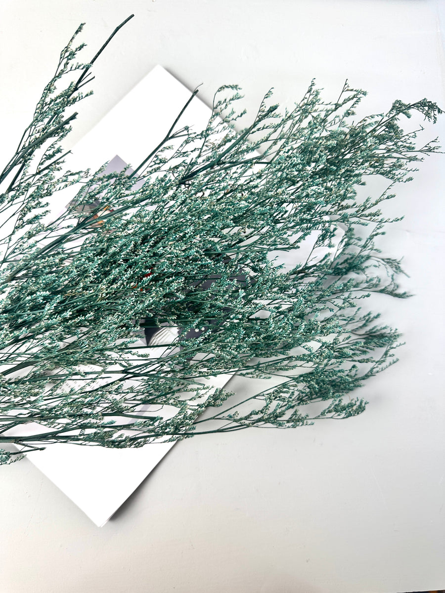 50g Dried Natural Ruscus Leaves Wedding Arrangement Decoration Natural Flowers Dry White Grass Bouquet Home Living Room  Decor -PAMPAS grass wholesale and dried flowers wholesale near me