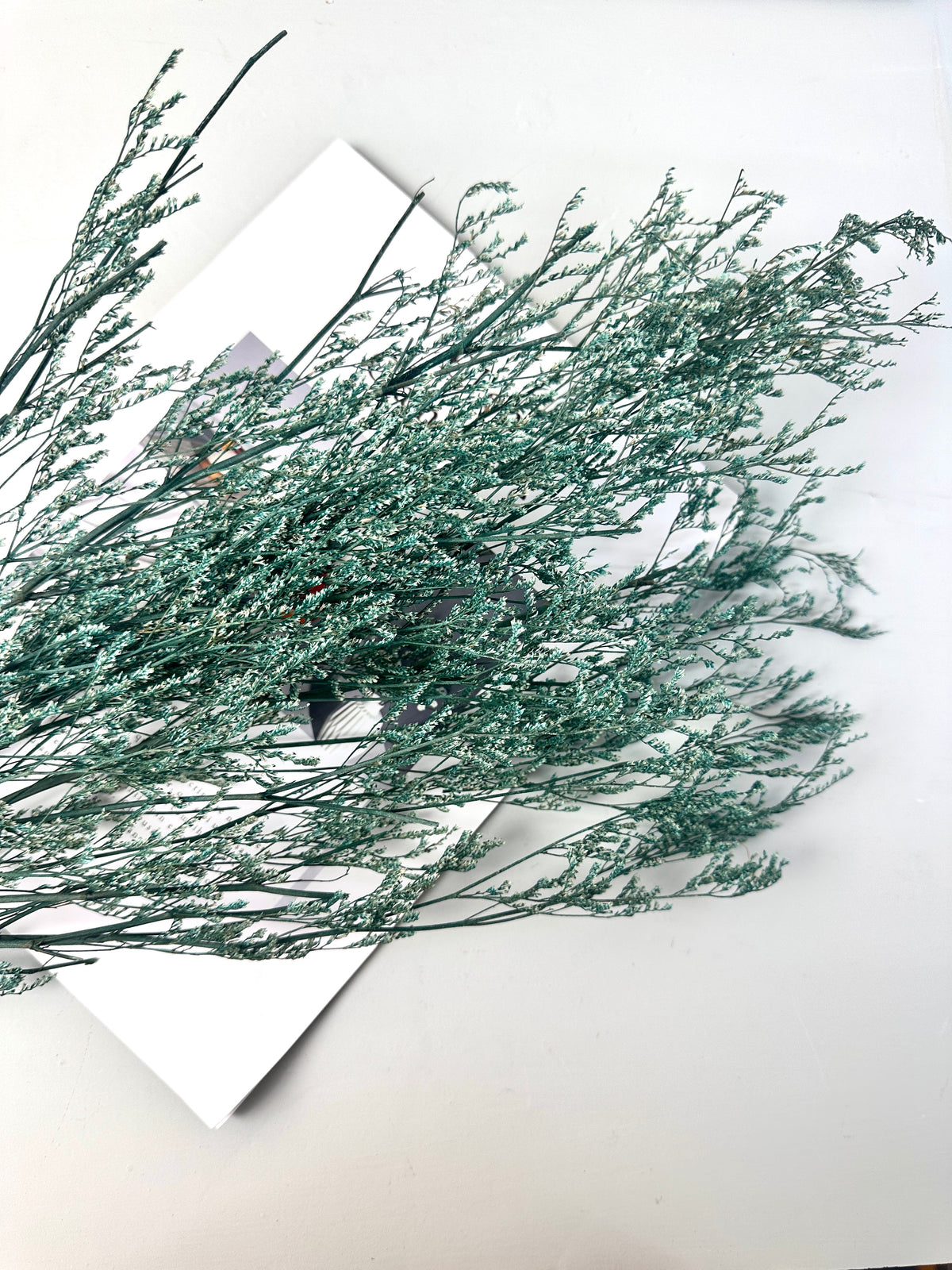 50g Dried Natural Ruscus Leaves Wedding Arrangement Decoration Natural Flowers Dry White Grass Bouquet Home Living Room  Decor -PAMPAS grass wholesale and dried flowers wholesale near me