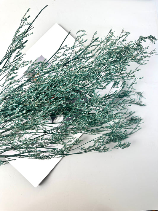 50g Dried Natural Ruscus Leaves Wedding Arrangement Decoration Natural Flowers Dry White Grass Bouquet Home Living Room  Decor -PAMPAS grass wholesale and dried flowers wholesale near me