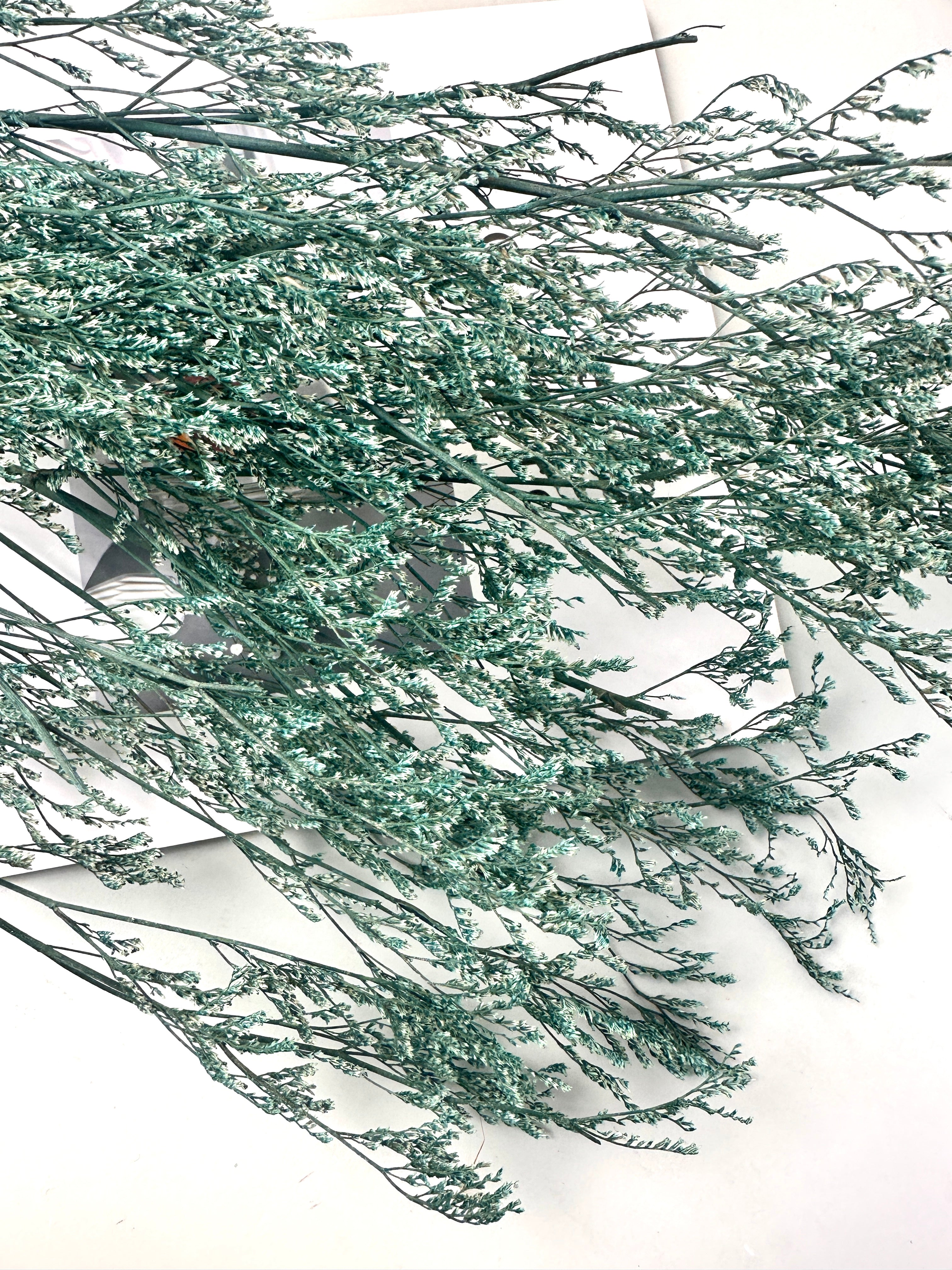 50g Dried Natural Ruscus Leaves Wedding Arrangement Decoration Natural Flowers Dry White Grass Bouquet Home Living Room  Decor -PAMPAS grass wholesale and dried flowers wholesale near me