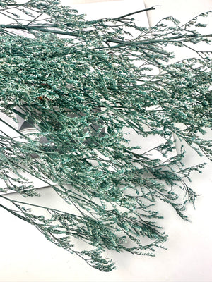 50g Dried Natural Ruscus Leaves Wedding Arrangement Decoration Natural Flowers Dry White Grass Bouquet Home Living Room  Decor -PAMPAS grass wholesale and dried flowers wholesale near me