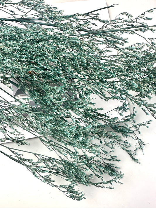 50g Dried Natural Ruscus Leaves Wedding Arrangement Decoration Natural Flowers Dry White Grass Bouquet Home Living Room  Decor -PAMPAS grass wholesale and dried flowers wholesale near me