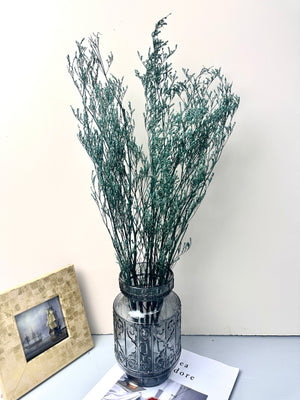 50g Dried Natural Ruscus Leaves Wedding Arrangement Decoration Natural Flowers Dry White Grass Bouquet Home Living Room  Decor -PAMPAS grass wholesale and dried flowers wholesale near me