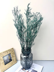 50g Dried Natural Ruscus Leaves Wedding Arrangement Decoration Natural Flowers Dry White Grass Bouquet Home Living Room  Decor -PAMPAS grass wholesale and dried flowers wholesale near me