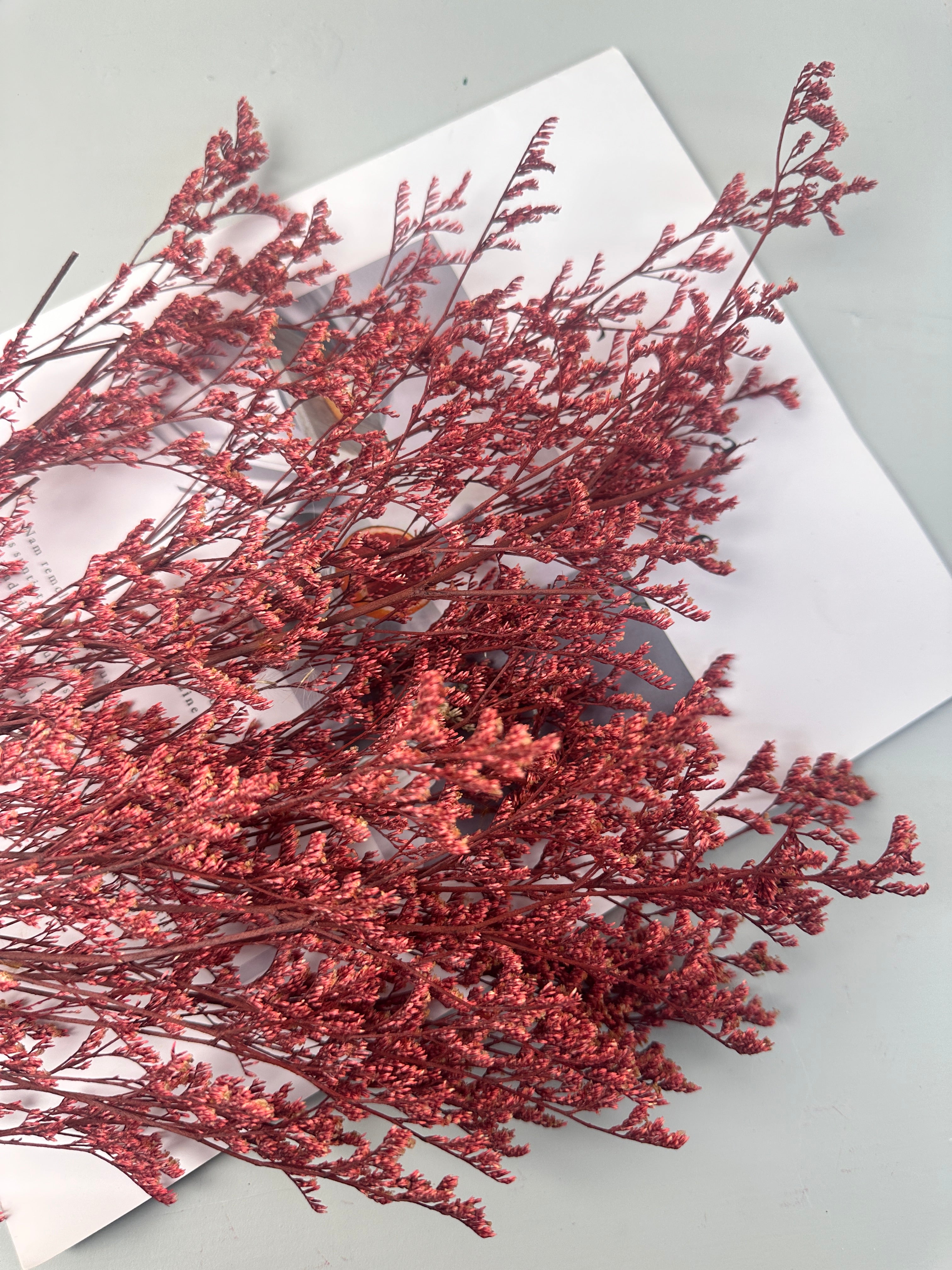 50g Dried Natural Ruscus Leaves Wedding Arrangement Decoration Natural Flowers Dry White Grass Bouquet Home Living Room  Decor -PAMPAS grass wholesale and dried flowers wholesale near me