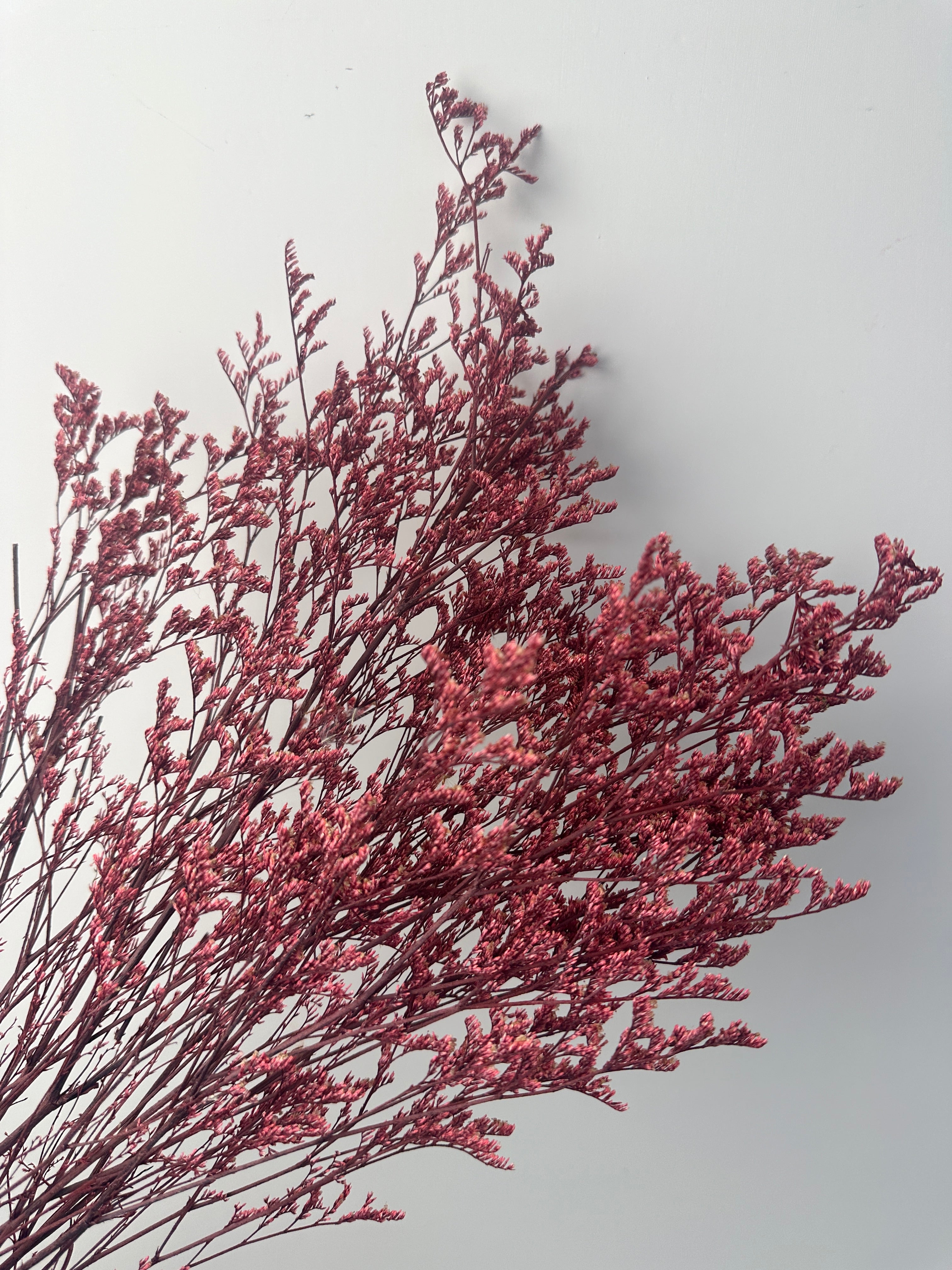 50g Dried Natural Ruscus Leaves Wedding Arrangement Decoration Natural Flowers Dry White Grass Bouquet Home Living Room  Decor -PAMPAS grass wholesale and dried flowers wholesale near me