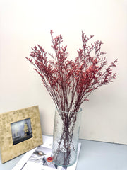 50g Dried Natural Ruscus Leaves Wedding Arrangement Decoration Natural Flowers Dry White Grass Bouquet Home Living Room  Decor -PAMPAS grass wholesale and dried flowers wholesale near me