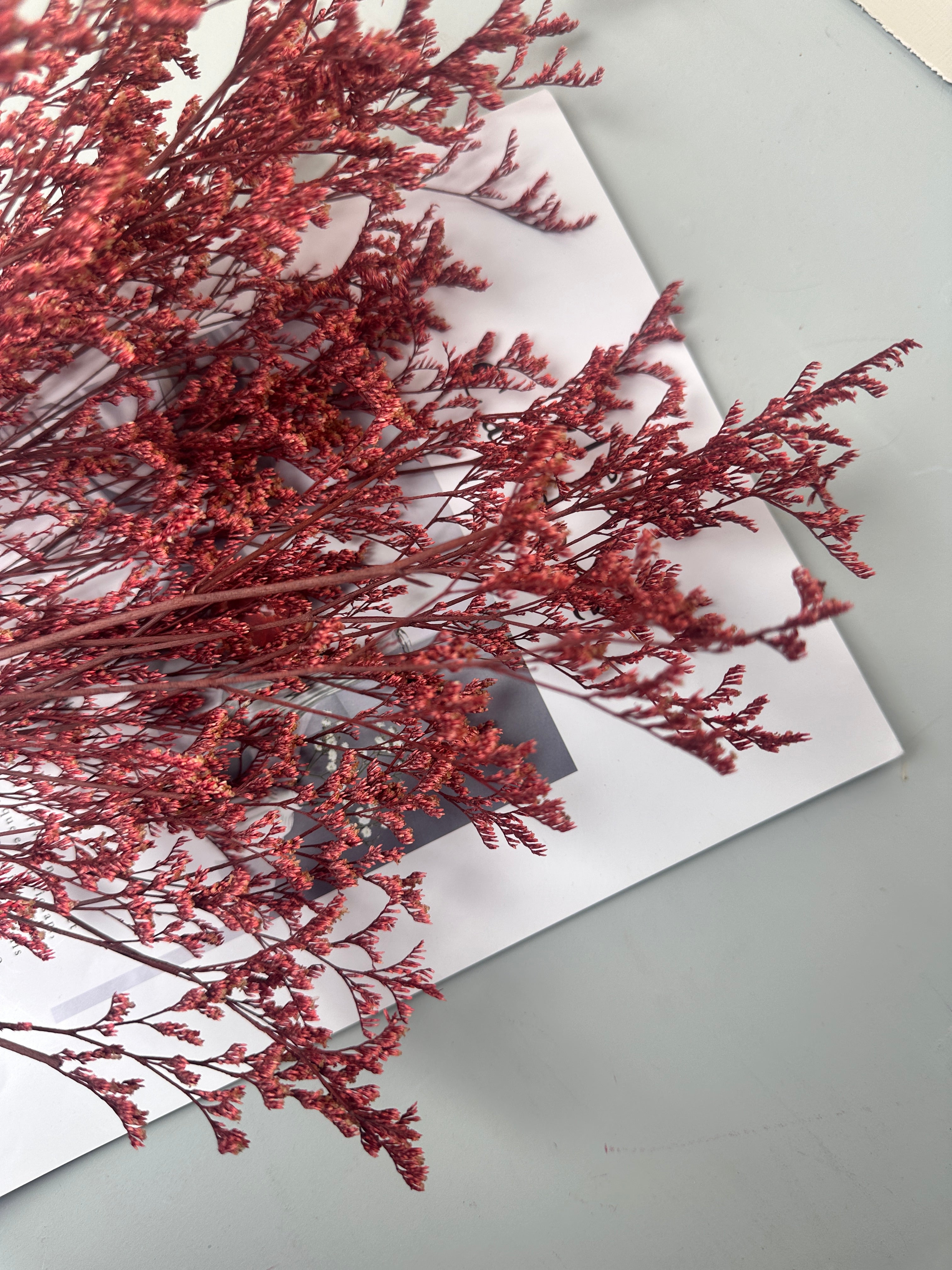 50g Dried Natural Ruscus Leaves Wedding Arrangement Decoration Natural Flowers Dry White Grass Bouquet Home Living Room  Decor -PAMPAS grass wholesale and dried flowers wholesale near me