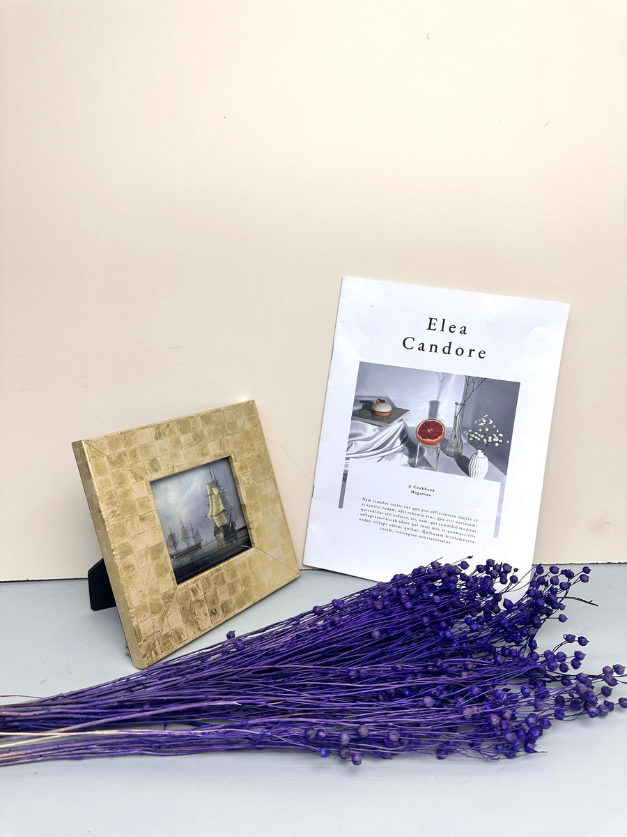 Have Natural Preserved Rosary Pea Seed Bundle - 18-24" Tall,wedding celebration flower. -PAMPAS grass wholesale and dried flowers wholesale near me