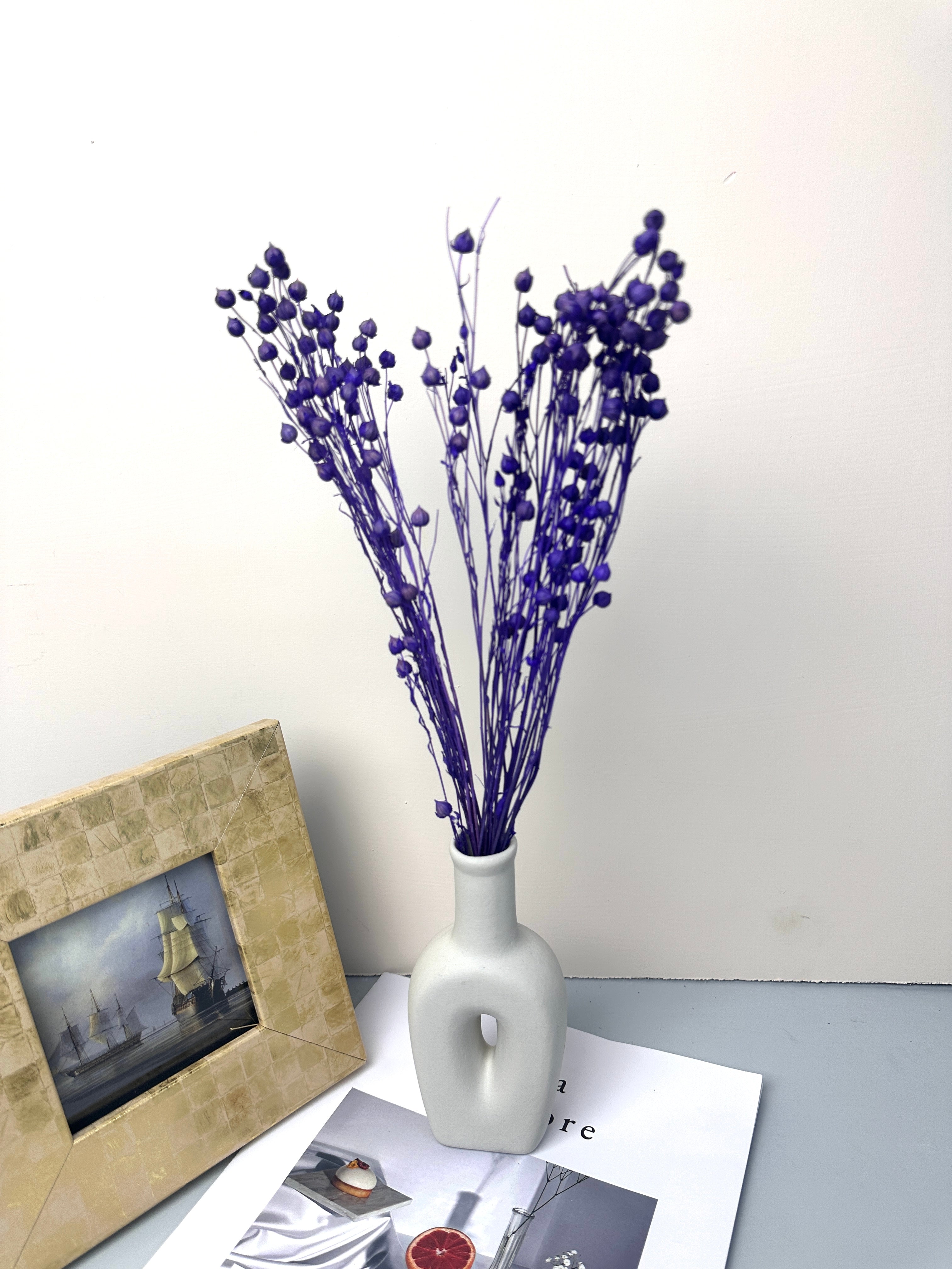 Have Natural Preserved Rosary Pea Seed Bundle - 18-24" Tall,wedding celebration flower. -PAMPAS grass wholesale and dried flowers wholesale near me