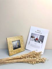 Have Natural Preserved Rosary Pea Seed Bundle - 18-24" Tall,wedding celebration flower. -PAMPAS grass wholesale and dried flowers wholesale near me