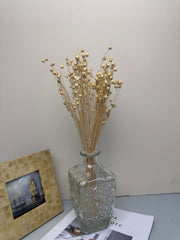 Have Natural Preserved Rosary Pea Seed Bundle - 18-24" Tall,wedding celebration flower. -PAMPAS grass wholesale and dried flowers wholesale near me