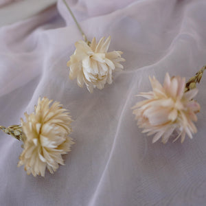chrysanthemum head，Decorate with dried flowers, Bouquet of Dried flowers