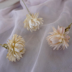 chrysanthemum head，Decorate with dried flowers, Bouquet of Dried flowers