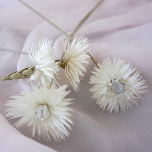 Dry Syncarpha vestita flower, DIY flower materials,dreid flower