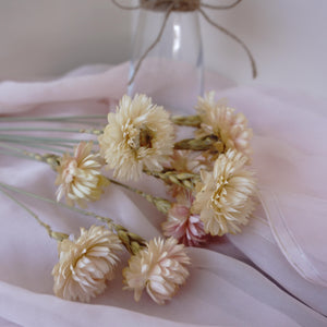 chrysanthemum head，Decorate with dried flowers, Bouquet of Dried flowers