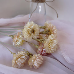 chrysanthemum head，Decorate with dried flowers, Bouquet of Dried flowers