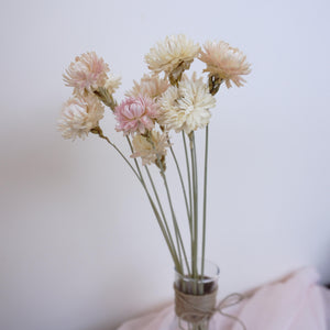 chrysanthemum head，Decorate with dried flowers, Bouquet of Dried flowers