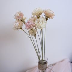 chrysanthemum head，Decorate with dried flowers, Bouquet of Dried flowers