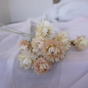 chrysanthemum head，Decorate with dried flowers, Bouquet of Dried flowers