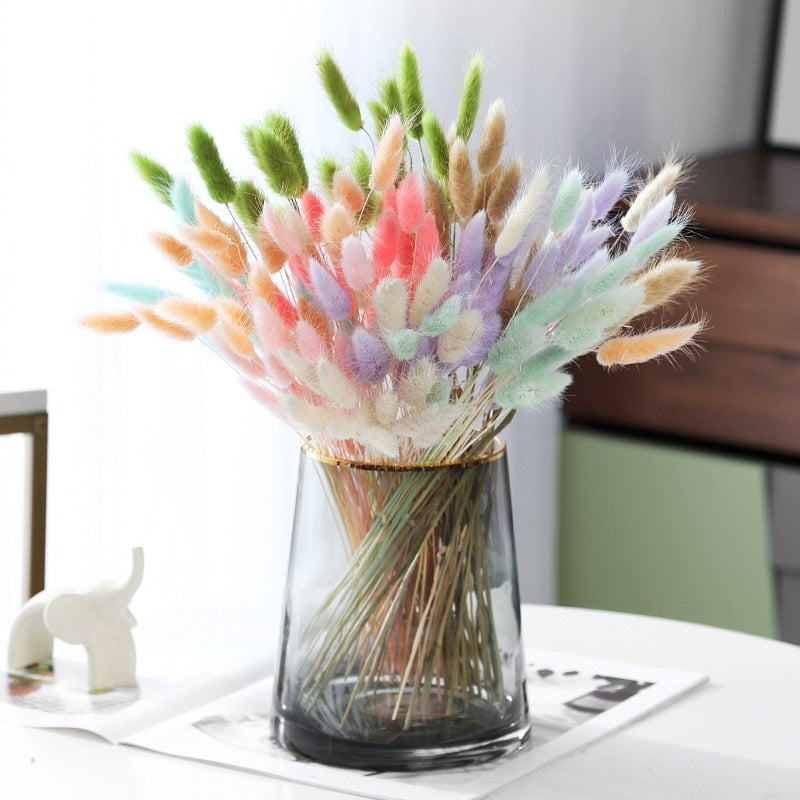 60PcsLot Lagurus Ovatus Dried Flowers Rabbit Tail Pampas Grass Natural Plants Bouquet Home Decor Flores Artificiales Decoration -PAMPAS grass wholesale and dried flowers wholesale near me
