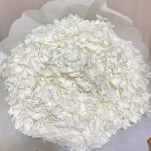 Preserved hydrangea flower,dried flower,home decor,burnt orange flower,wedding decor