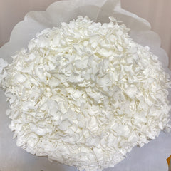 Preserved hydrangea flower,dried flower,home decor,burnt orange flower,wedding decor