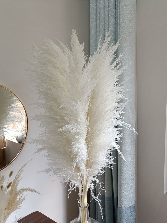 PAMPAS GRASS  35''- over100000 stems White  Dried Pampas Plant Decor, Pampas Wedding Decor Bouquet, Boho Bohemian Wedding Flower -PAMPAS grass wholesale and dried flowers wholesale near me