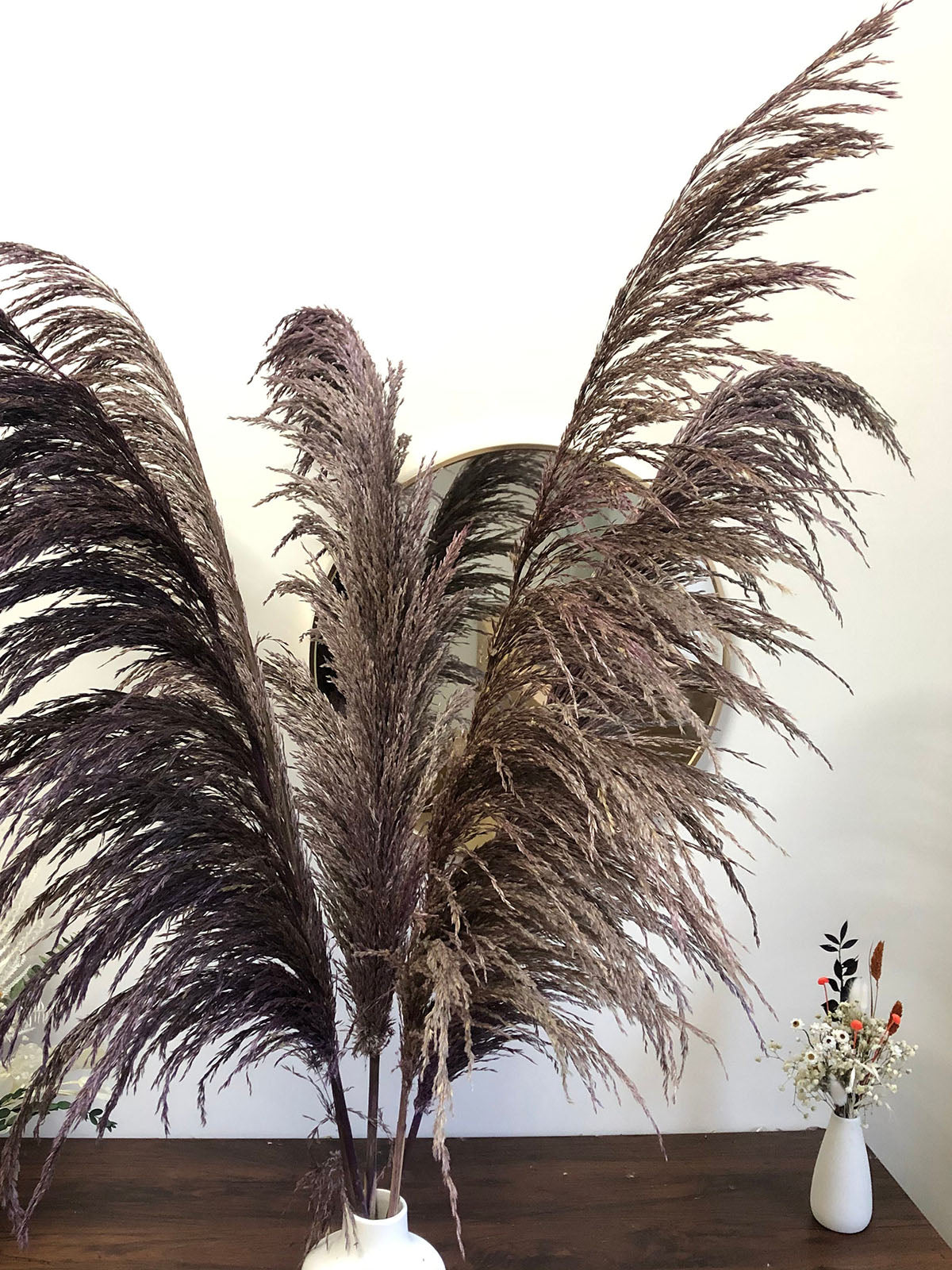 27 inches New, Pampas grass  prairie grass decoration, reed feathers, dried boho wedding floral arrangement -PAMPAS grass wholesale and dried flowers wholesale near me