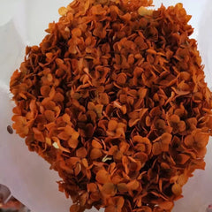 Preserved hydrangea flower,dried flower,home decor,burnt orange flower,wedding decor
